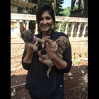 Profielfoto voor Shachi M