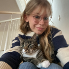 Profilbild für Janina K