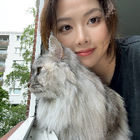 Profilbild für Xiaofeng L