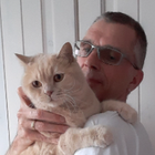 Profilbild für Peter K