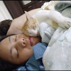 Profielfoto voor Yin M