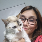 Profilbild für Viviana V