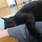 Profilbild für Malena W