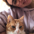 Profielfoto voor Florencia P