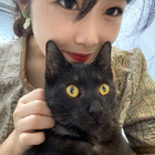 Profilbild für Xinan L