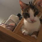Profilbild für Lisa M