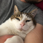 Profilbild für Nilly N