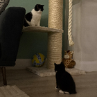 Avatar for Matylda L