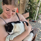 Profilbild für Cynthia K