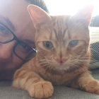 Profilbild für Renate S