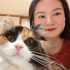 Avatar for Peiyao T