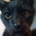 Avatar for Christopher M