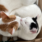 Profilbild für Andrea K