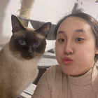 Profilbild für Yuwei L