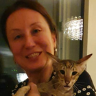 Profilbild für Elvan E