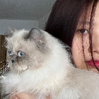 Profilbild für Danyang X