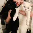 Profilbild für Lily B