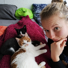 Profilbild für Diana G