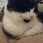 Profilbild für Lea L