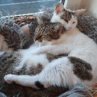 Profilbild für Max und Tanja S