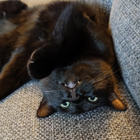 Profilbild für Lars A