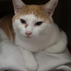Profilbild für Jule J