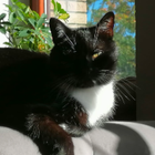 Profilbild für Jacob W