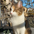 Profilbild für Emilia W