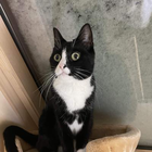 Profielfoto voor Tay L