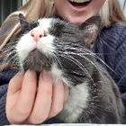 Profilbild für Anna Liz M