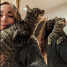 Profilbild für Maddalen S