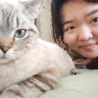 Profilbild für Jinglei L