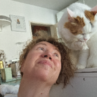 Profilbild für Sandra U