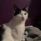 Avatar for Jessica B