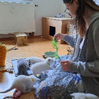 Profilbild für Rosali S
