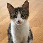 Profilbild für Marlene G