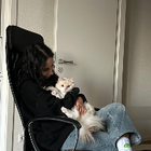 Profilbild für Acelya K