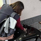 Profilbild für Katja S