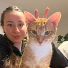 Profilbild für Tetiana M