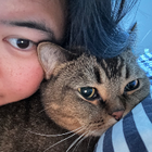 Profilbild für Mengshi G