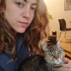 Profilbild für Paloma A