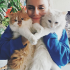 Profilbild für Nina M