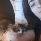 Avatar pour Juliette V