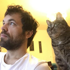Profilbild für Joe G