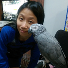 Avatar for Wingyi T