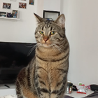 Profilbild für Kevin E