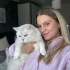 Profilbild für Luisa B