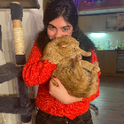 Profilbild für Dilan H