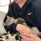 Profilbild für Natalie W