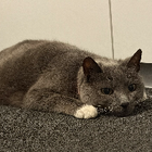 Avatar for Ana Jessica Q